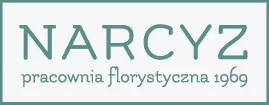 Narcyz